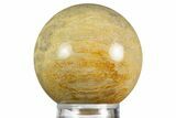 Polished Oligocene Fossil Coral Sphere - Philippines #330205-1